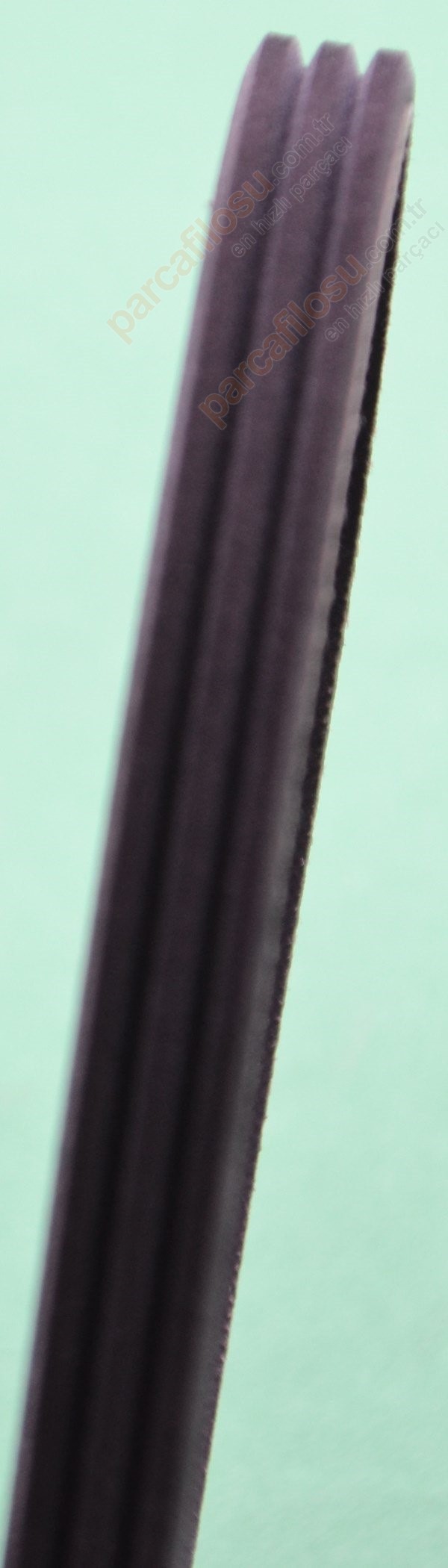 CONTITECH 3PK750 Keilrippenriemen - Original Qualität Für Präzisen Antrieb